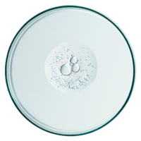 Lactobacillus-Ferment.png