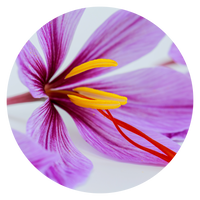 attivo-chiave-120603.png