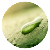 attivo-chiave-142016.png