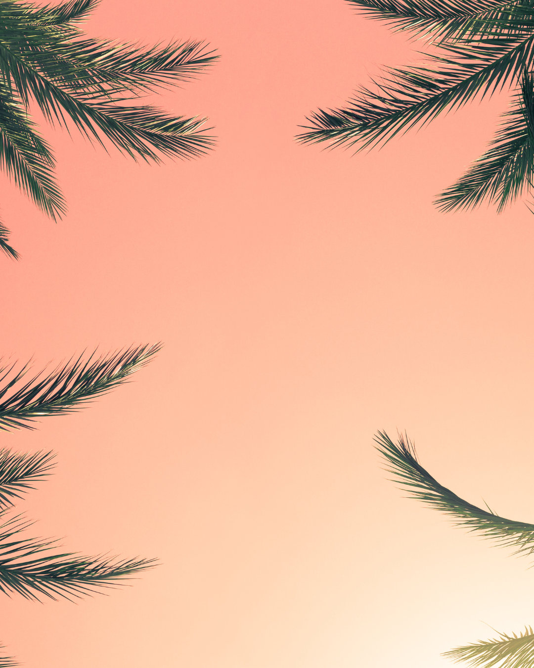 2_c24a05f3-2223-47d2-9eb0-03f622c4784c.png