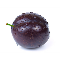 Kakadu_Plum.png