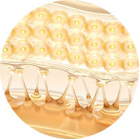 LC_PeptaCode_CYCLOHEXAPEPTIDE-90.png