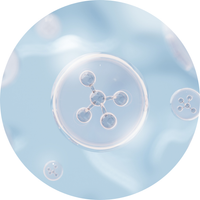 LIPO-DERMIS_COMPLEX.png