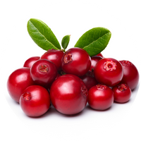 Lingonberry_Stem_Cells.png