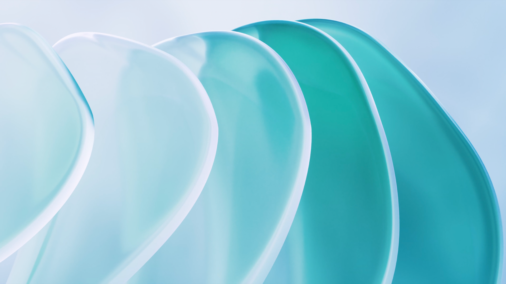 immagini_slide_b7e7a30d-e87e-4497-809f-af4f49182311.png