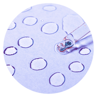 palmitoyl-tripeptide-1palmitoyl-tetrapeptide-7.png